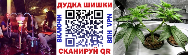 Каннабис Amnesia  Купить  Бобров 
